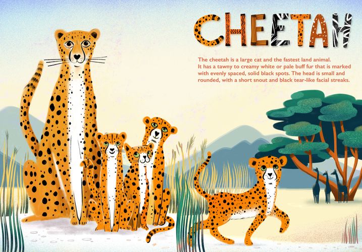 CHEETAH Kids Illustrationjo Goodberry 
