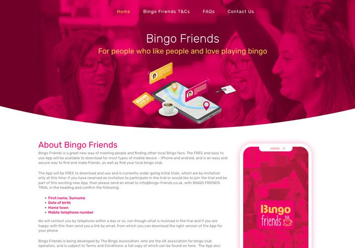 Bingo Friends Website