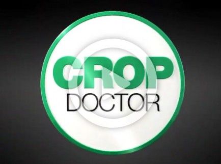 Crop Doctor marketing campaign for Bayer