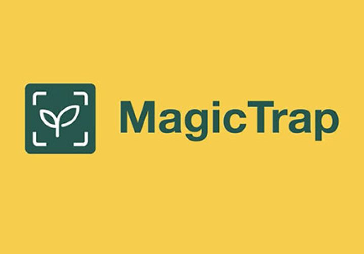 MagicTrap - Bayer