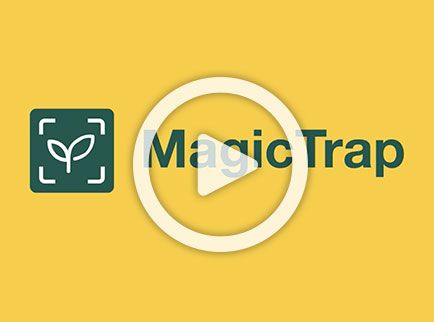 MagicTrap - Bayer